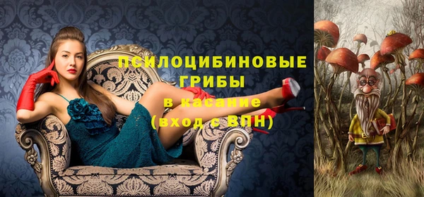 спайс Болотное
