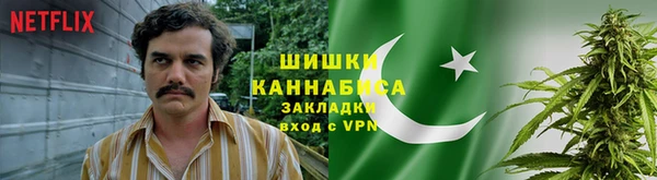 гидра Новодвинск