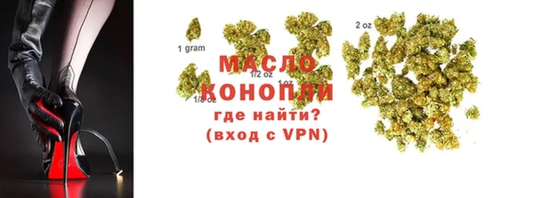 гидра Новодвинск