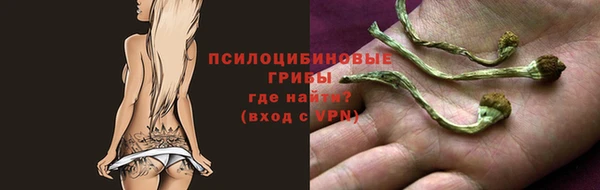 гашик Новокубанск