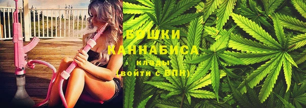 гидра Новодвинск