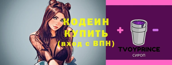 гидра Новодвинск