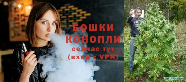 гидра Новодвинск