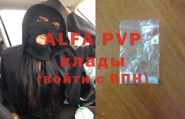 гидра Новодвинск