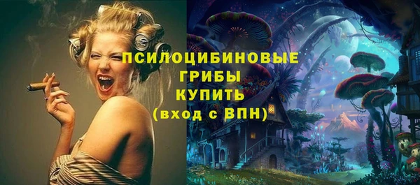 гидра Новодвинск