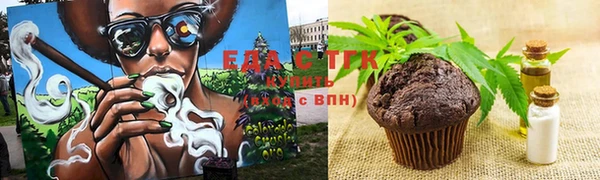 дмт Ельня