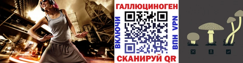 закладка  Муравленко  Псилоцибиновые грибы Psilocybe 