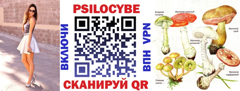 Галлюциногенные грибы Cubensis Муравленко