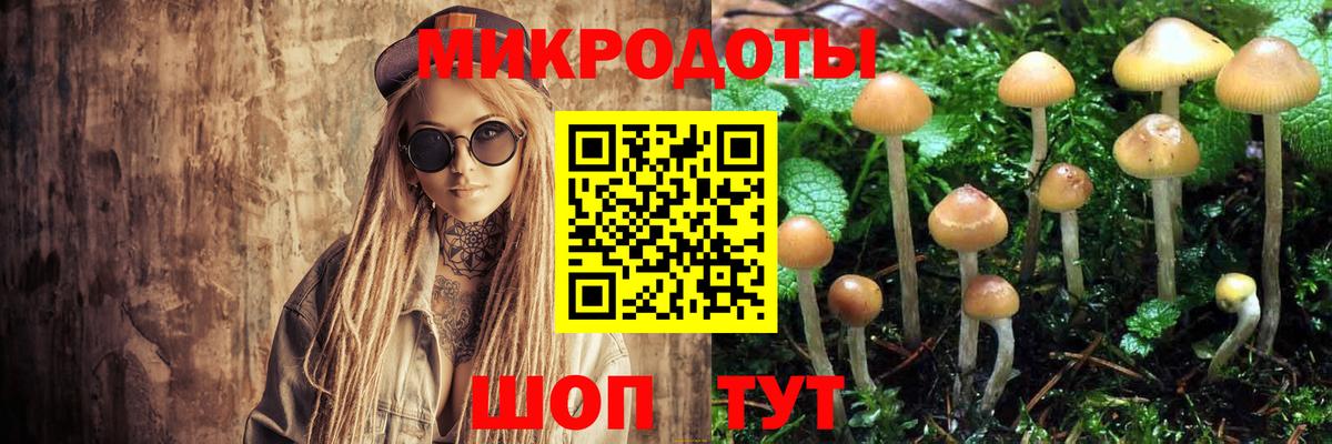 Галлюциногенные грибы Cubensis  Вход с VPN  Муравленко 